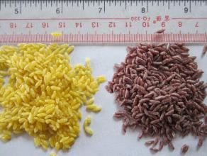 Artificial Rice Extruder
